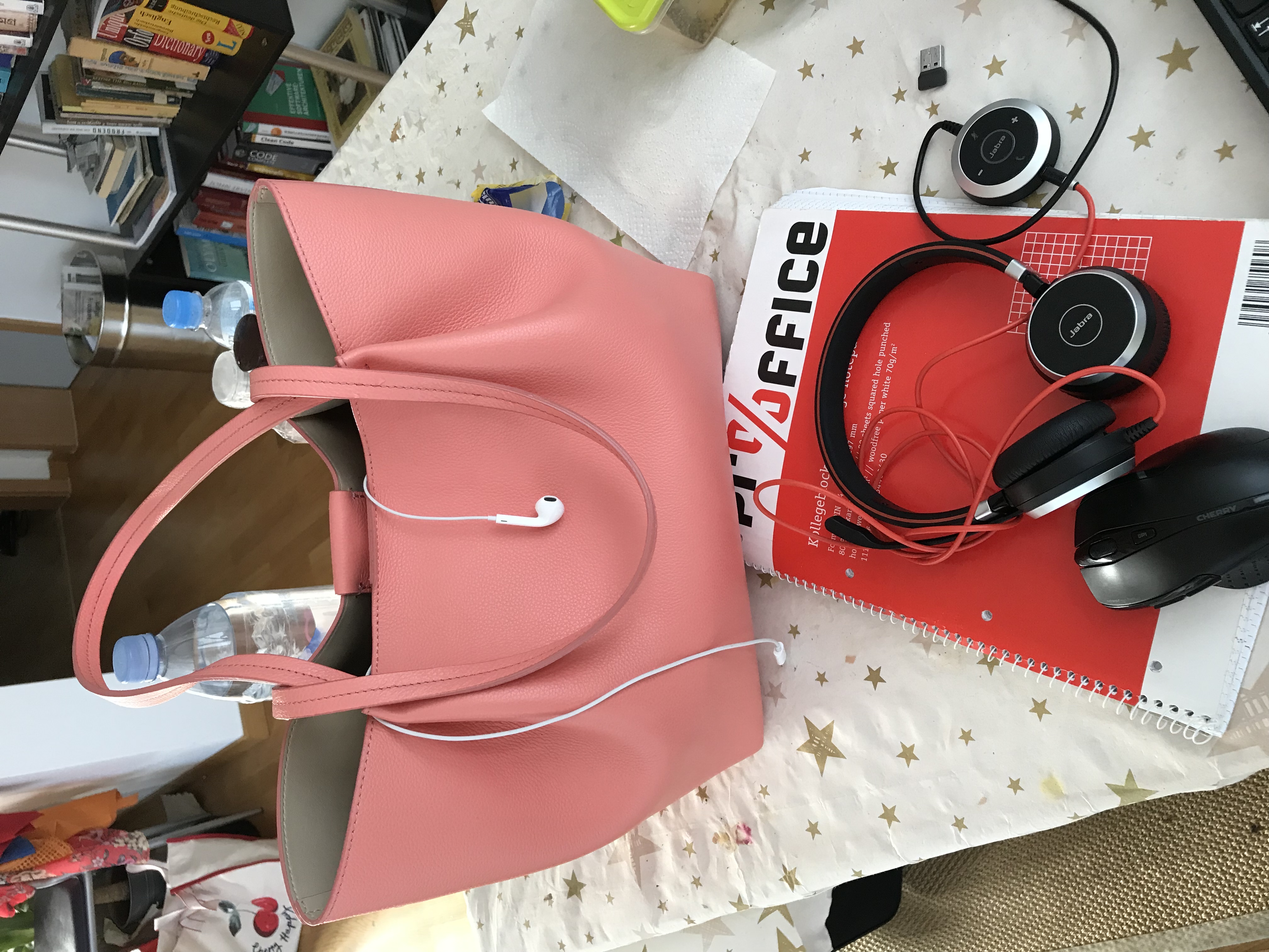 The Dilemma of the Perfect Bag 2 4 The Dilemma of the Perfect Bag 2