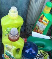 Beginners guide to gardening: Basic care II 3 Beginners guide to gardening: Basic care II