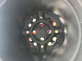 Beginners guide to gardening: Basic care I 2 Beginners guide to gardening: Basic care I