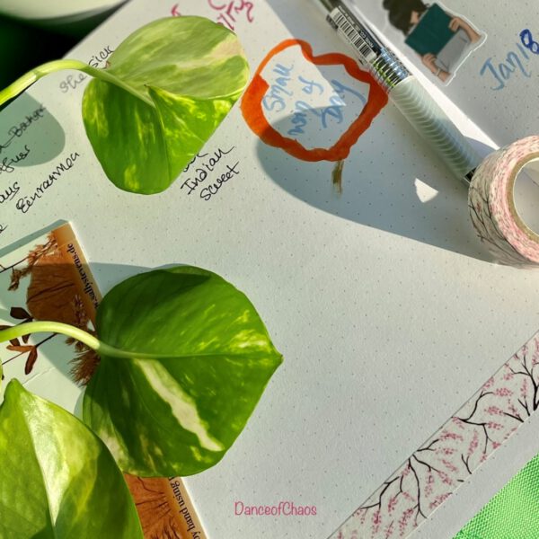 Stories Fiction and series 3 In Solitude I am mindful – 3 helpful ways of self-reflection